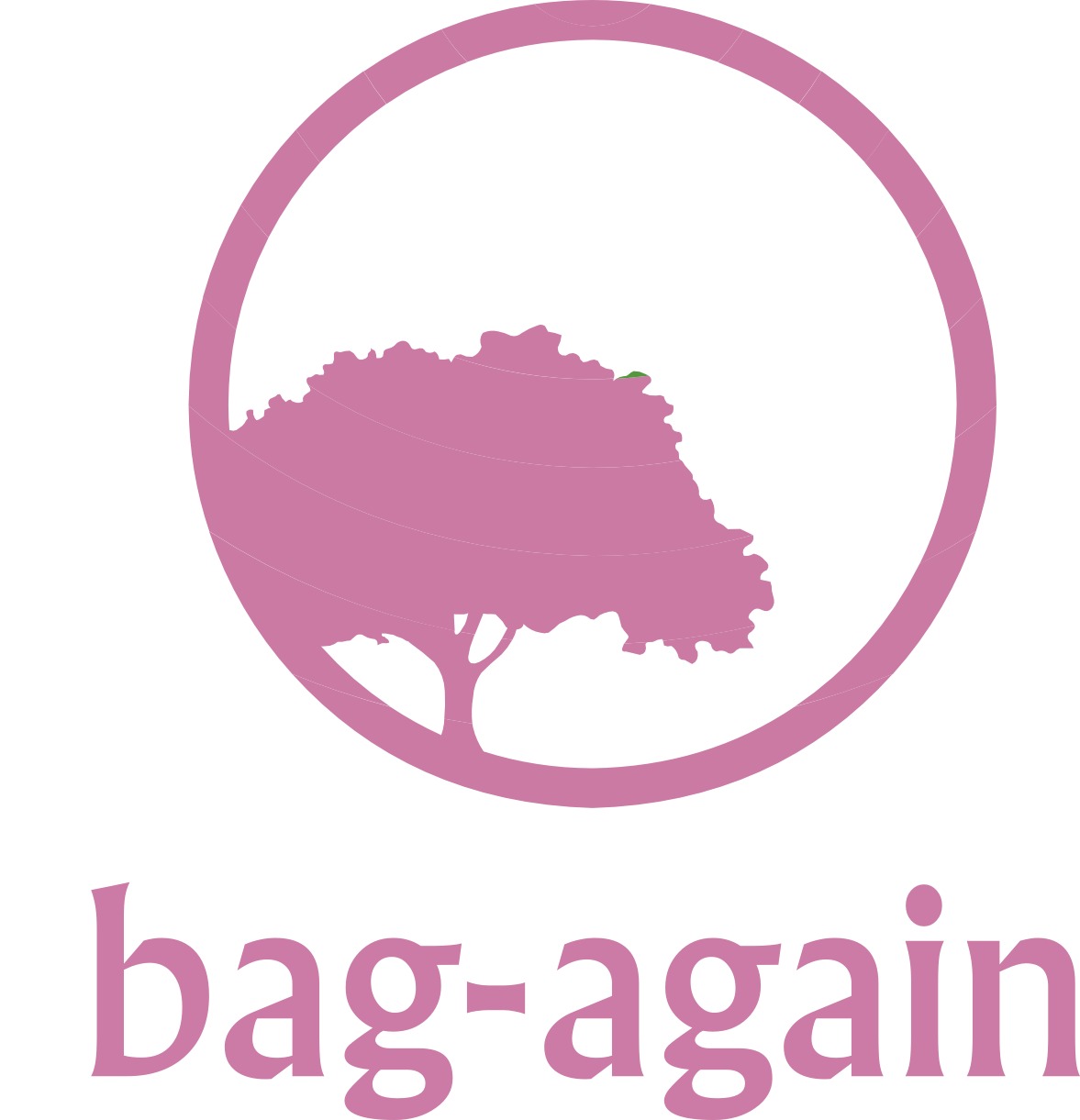 bag again