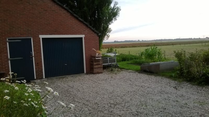 WP_20150810_001