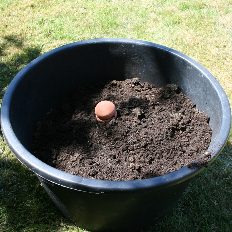 Olla