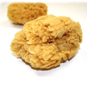 Natuurspons