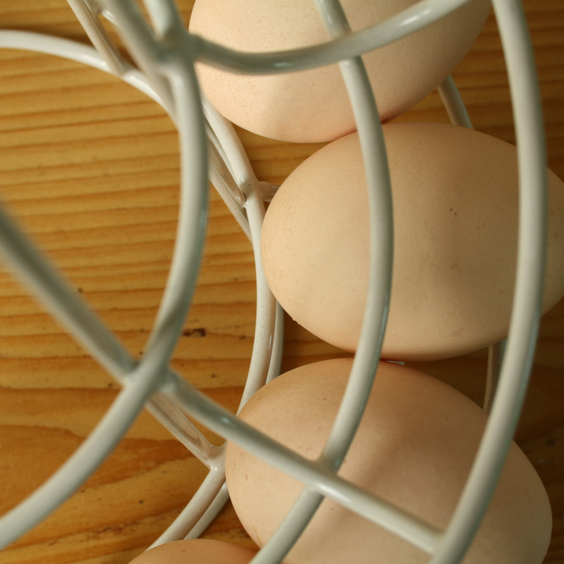 egg run