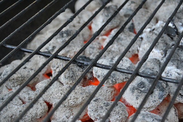 Lees meer over het artikel Een Bewuste Barbecue, hoe doe je dat?