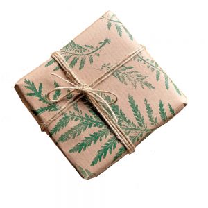 Cadeaupapier Eco Varen | Een groen tintje voor je cadeau