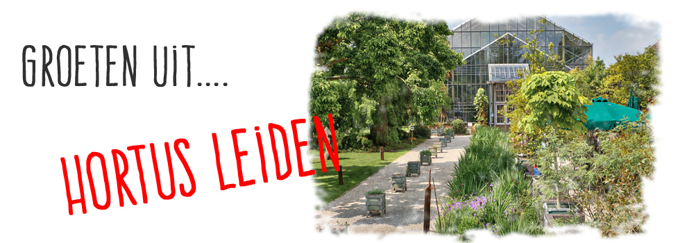 groeten uit leiden