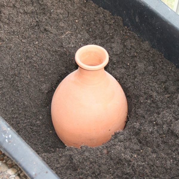 Olla pot