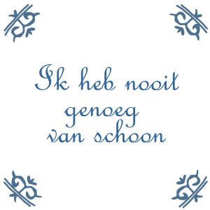 schoonmaaklijst