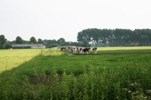 Lees meer over het artikel De gangbare boerderij is niet houdbaar