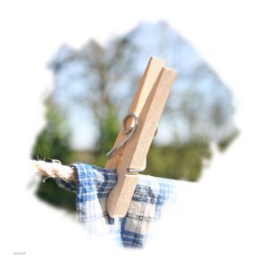 Houten wasknijper met degelijk veertje – 50 stuks