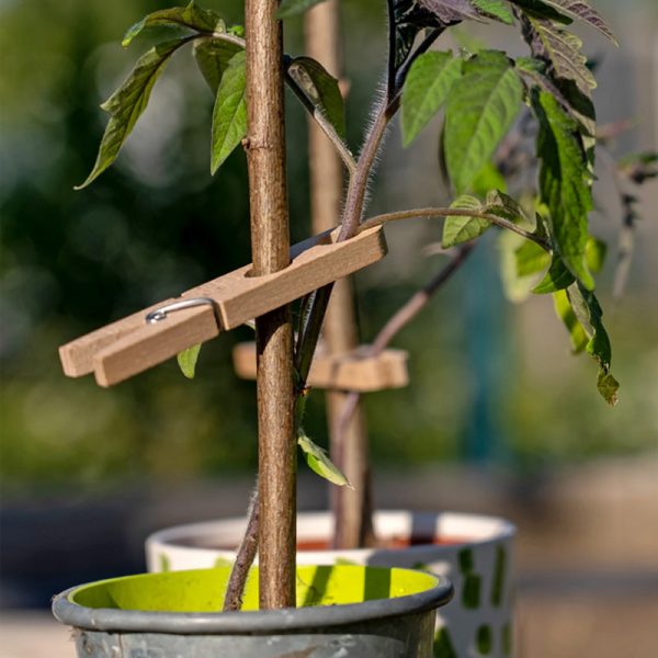 plantenklem