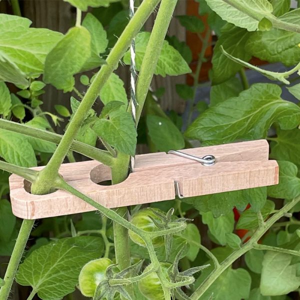 plantenklem